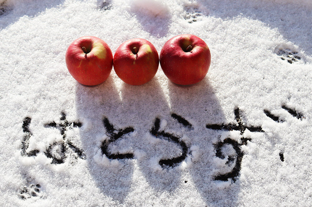 【寄附金額見直しました】【25年12月〜発送】りんご 葉とらず ふじ【家庭用】約5kg ゴールド農園