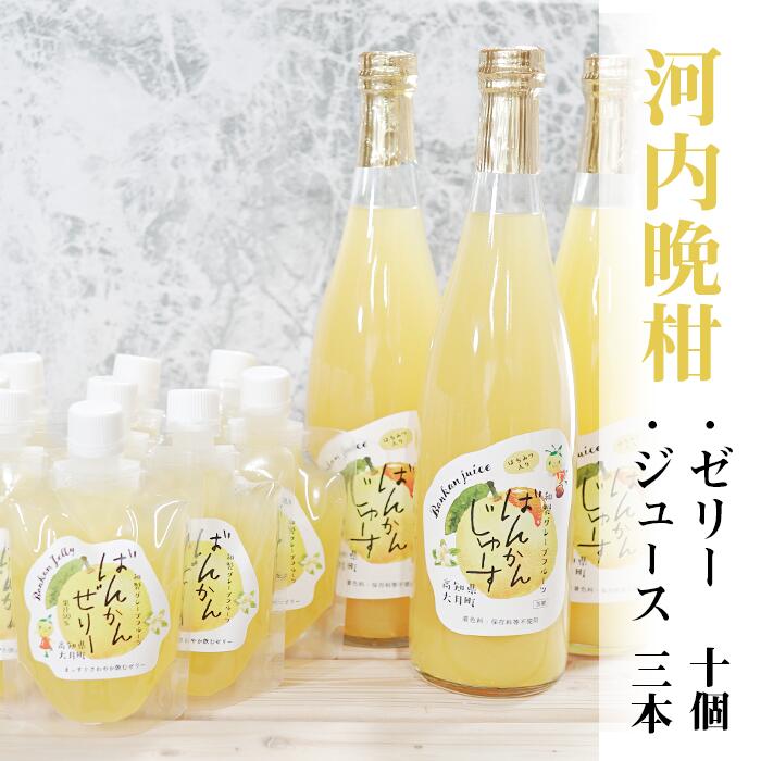 【ふるさと納税】柑橘「河内ばんかん」ジュース3本とゼリー10個のセット