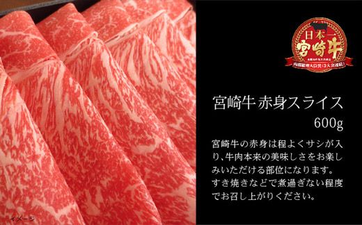 ＜宮崎牛＞赤身スライス600g※90日以内出荷【B226】