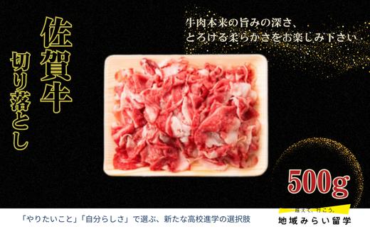 
            【ミートプラス】佐賀牛 切り落とし 500g
          
