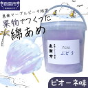 【ふるさと納税】果物でつくった綿あめ ピオーネ 綿あめ 綿菓子 わたがし