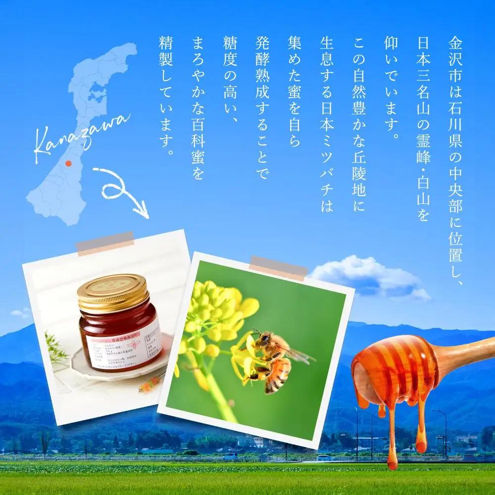 幻の日本ミツバチからの贈り物　純粋はちみつ300ｇ×1瓶　白山ひめみつ