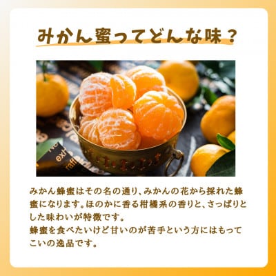 みつばちの雫　国産みかん蜂蜜　300g×2【1481076】