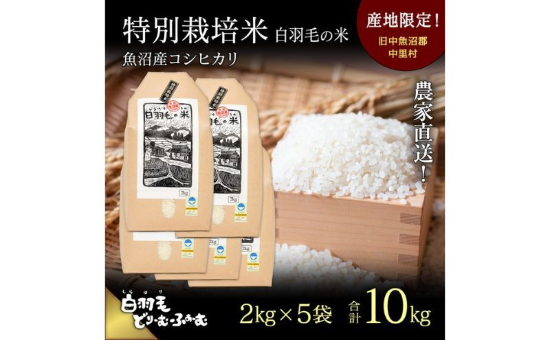 
            【通年受付】≪令和6年産≫　農家直送！魚沼産コシヒカリ特別栽培「白羽毛の米」精米(2kg×5袋) 10kg
          