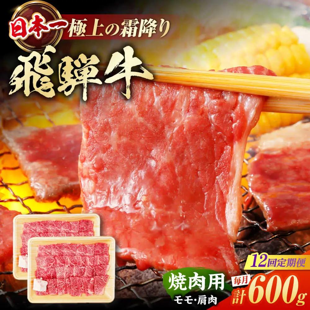 【12回定期便】飛騨牛 焼肉用赤身 600g / 浅井商店[AWBJ014] 飛騨牛