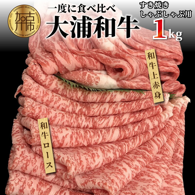 【ふるさと納税】★選べる発送月★大浦和牛すきやき・しゃぶセット（1kg）〈 牛肉 牛 和牛 国産 すき焼き しゃぶしゃぶ セット おすすめ ロース 赤身 美味しい 食べ比べ 選べる 選べる発送月 選べる発送月 〉