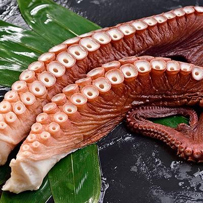 ふるさと納税 釧路市 大たこ(刺身用) 1kg〜1.2kg×2本 ふるさと納税 たこ