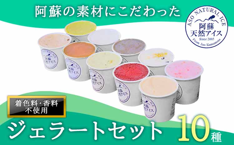 阿蘇天然アイス10種のジェラートセット アイス ジェラート グランプリ 受賞 10種類 詰め合わせ バラエティ 素材 こだわり 人気 美味しい 贅沢 果物 フルーツ 父の日　熊本 阿蘇