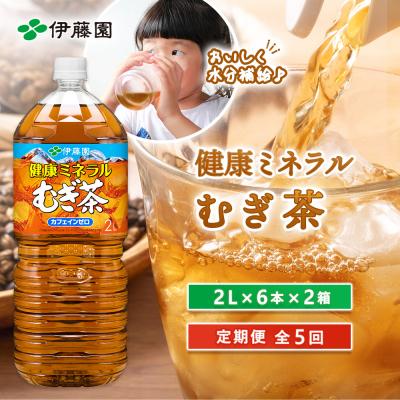 ふるさと納税 恵庭市 『定期便:全5回』健康ミネラルむぎ茶2L×6本×2箱【50001801】