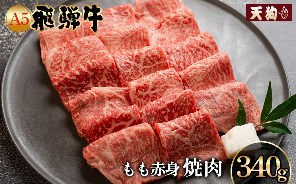 
A5飛騨牛もも赤身焼肉 340g【冷凍】冷凍配送 もも 飛騨牛 下呂温泉 おすすめ 牛肉 肉 和牛 赤身 人気 ブランド牛 肉ギフト 国産 贈答品 焼き肉用 ギフト 和牛 15000円
