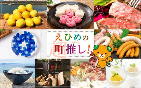 【愛媛県産】愛媛県産 おらが自慢の伊方ジュース 2種セット 合計6本 1L×6本 みかん3本 きよみ3本 1000ml ストレート 果汁100％ 名産品 ドリンク 飲料 ジュース フルーツジュース 果