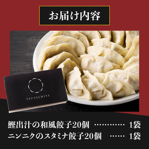 和風餃子 スタミナ餃子 各20個(計40個) セット ギョーザ 鰹出汁 ニンニク おかず おつまみ 食べ比べ 特製 中華 食品 冷凍発送 富士市 [sf001-219]