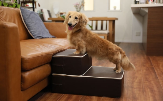 【キャメル・2026年4月配送】ハグワン ドッグステップ（HUG-WAN） 糸島市 / 株式会社さくらドーム [AIR004-3-2604]