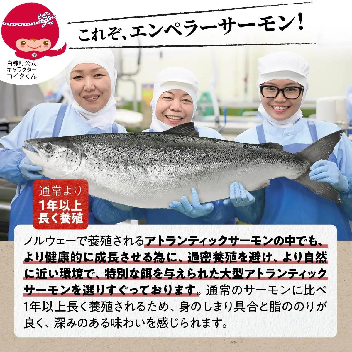 【ふるさと納税】エンペラーサーモン  400g_T010-1110