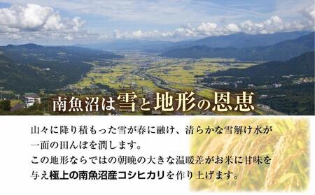｜定期便｜ 新潟県 南魚沼産 コシヒカリ 【従来品種】塩沢地区 お米 10kg × 12回 毎月発送 精米済み（お米の美味しい炊き方ガイド付き）