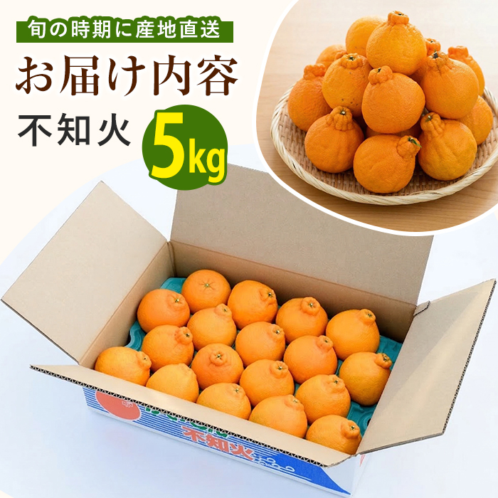 【2026年 発送】かいもん不知火 約5kg(迫田果樹園/IB064-006) しらぬい 柑橘類 不知火 みかん フルーツ 柑橘 旬 春 果物 指宿 いぶすき 鹿児島