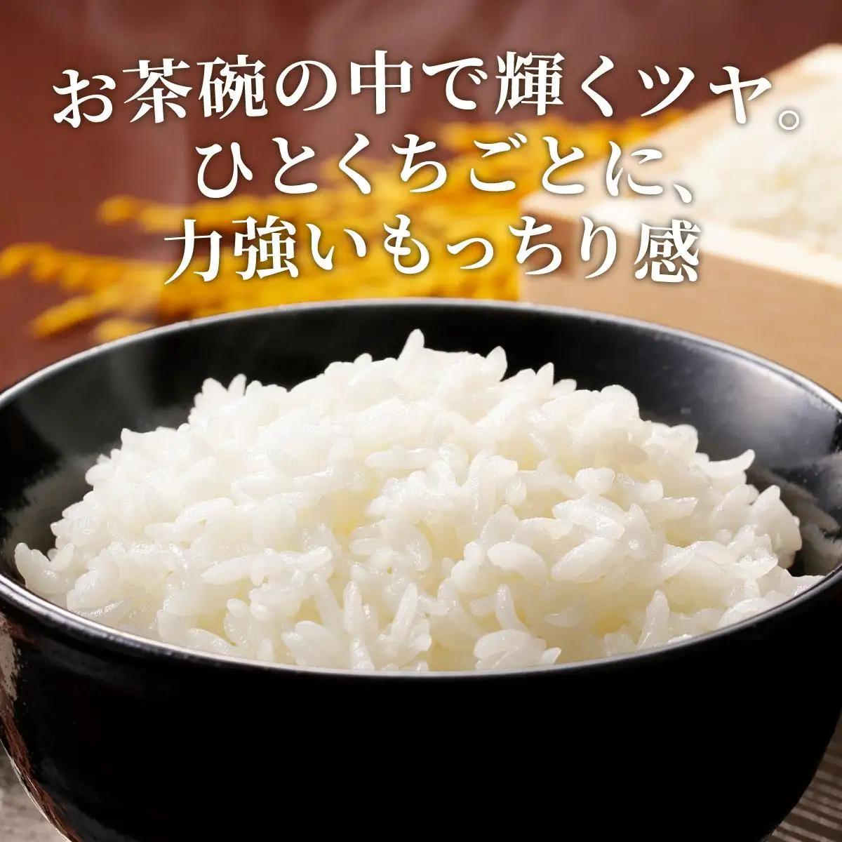 福岡県産元気つくし 白米10kg