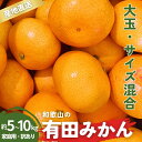 【ふるさと納税】 家庭用 訳あり 有田みかん 大玉(2L,3Lサイズ混合) 5kg・10kg【10月上旬〜1月下旬頃に順次発送予定】/ みかん フルーツ 果物 くだもの 有田みかん 蜜柑 柑橘