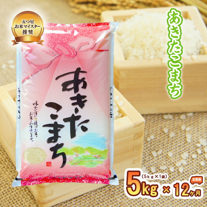 【ふるさと納税】米 定期便 12ヶ月 あきたこまち 5kg お米 精米 白米 こめ コメ おこめ ごはん お米マイスター 推奨 ブランド米 常温 国産 岩手県 岩手 盛岡市産 定期 お楽しみ 12回