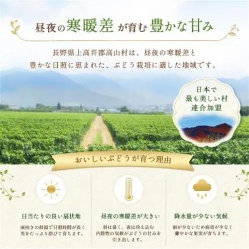 【先行受付】信州高山村産　シャインマスカット1kg(2～3房入り)秀品(訳あり品ではございません)【配送不可地域：離島・北海道・沖縄県】【1740774】