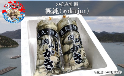 のぞみ 牡蠣  2025年先行予約 ［極純]  剥き身 （ 一年牡蠣 ）500g×2パック 簡単レシピ 付き 魚貝類 海の幸 海のミルク 海鮮 貝 濃厚 産地直送 取れたて 新鮮 食材 剥き牡蠣