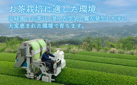 【あっさりとした有機栽培茶】さざの有機栽培茶 芽吹き 100g×3本セット【宝緑園】[QAH006]