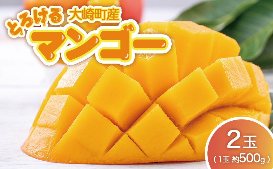 
                  【JA大崎選果場厳選】「大崎産マンゴー2026」 おおよそ500g×2玉
                