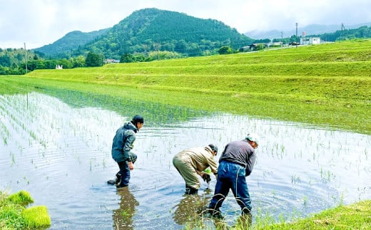 三瓶山の豊かな自然、田園風景を守り継承する持続可能な農業を目指しながら、生産から販売まで、農場から食卓へ！