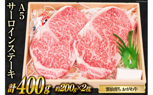 雲仙育ち おがわ牛 A5 サーロインステーキ2枚 計400g [焼肉おがわ 長崎県 雲仙市 item1596] ステーキ 黒毛和牛 冷凍