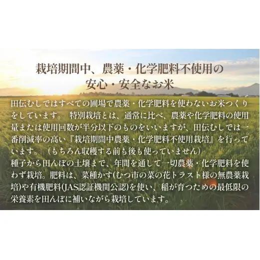特別栽培米 ササニシキ 玄米 10kg