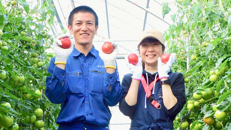 【 早期申込み限定 特別寄附額 】 フルーツトマト 大箱 約2.6kg × 1箱 【大玉 20〜35玉/1箱】 糖度7度 以上 野菜 フルーツ トマト とまと [AF072ci]