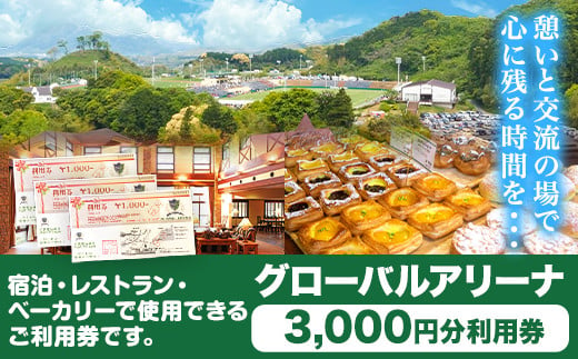 グローバルアリーナ 利用券 3000円分 株式会社グローバルアリーナ 《30日以内に出荷予定(土日祝除く)》GLOBAL ARENA 利用券 宿泊 スポーツ パン バイキング レストラン 食事 総合施設