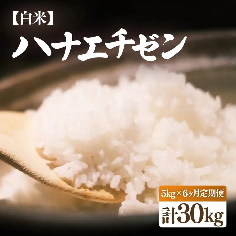 【先行予約】【令和8年産・新米】定期便 ≪6ヶ月連続お届け≫ ハナエチゼン 5kg × 6回（計30kg）【白米】【2026年10月中旬以降順次発送】 [e26-f001_01]