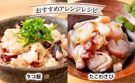 タコ足 浜茹でボイル 枝幸産 刺身 タコ足【2本 約1kg】
