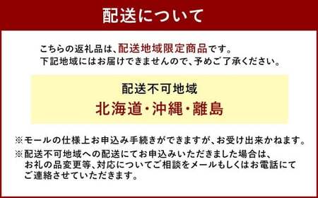 ぶどう 2026年 先行予約 ニュー ピオーネ 3～4房 合計2kg以上 ブドウ 葡萄  岡山県産 国産 フルーツ 果物 ギフト 河本農園 【2026年8月下旬発送予定】