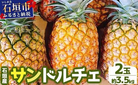＜先行予約＞ 農家直送！石垣島産サンドルチェ 2個セット 約3.5kg ＜2026年4月中旬発送＞ | パイナップル パイン 沖縄県 石垣市 石垣島 南国 フルーツ 果物 季節限定 YE-004