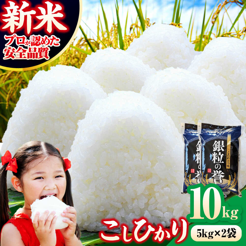 【ふるさと納税】【令和7年産米】こしひかり 10kg（5kg×2袋）三次市/アグリ君田[APDC002] コシヒカリ 米 10キロ お米 十キロ 新米 こめ おこめ コメ 白米 国産 令和7年 ごはん ご飯 精米 精白米 ギフト 30000円 お歳暮 お中元 お祝い 内祝い 贈り物 プレゼント 産地直送