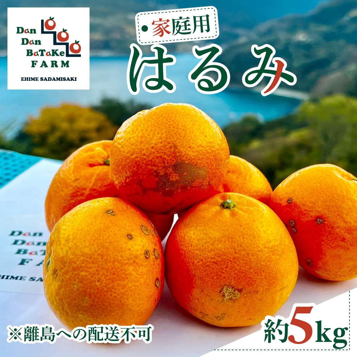 【ふるさと納税】【先行予約】【家庭用】はるみ 約5kg ※離島への配送不可　※2026年1月下旬より順次発送予定【ふるさと納税 人気 おすすめ ランキング 柑橘 みかん ミカン フルーツ 果物 オレンジ はるみ DanDan BaTaKe FARM 愛媛県産 家庭用 伊方町 送料無料】IKTAU004