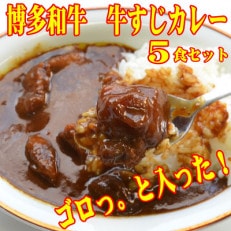 博多和牛　牛すじカレー5食セット(直方市)