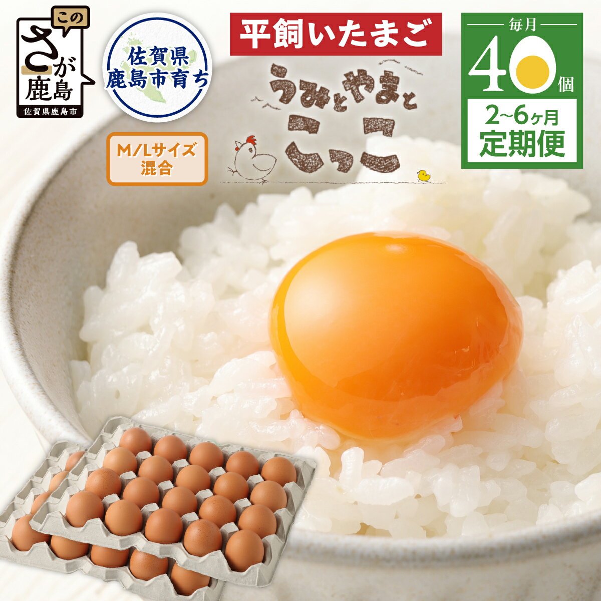 【ふるさと納税】【選べる回数・毎月定期便】平飼い卵 40個 2〜6ヶ月 うみとやまとこっこ サイズ混合 | ふるさと納税 卵 たまご タマゴ 玉子 生卵 鶏卵 定期便 2回 3回 6回 朝食 希少 ふるさと 産地直送 佐賀県 鹿島市 送料無料