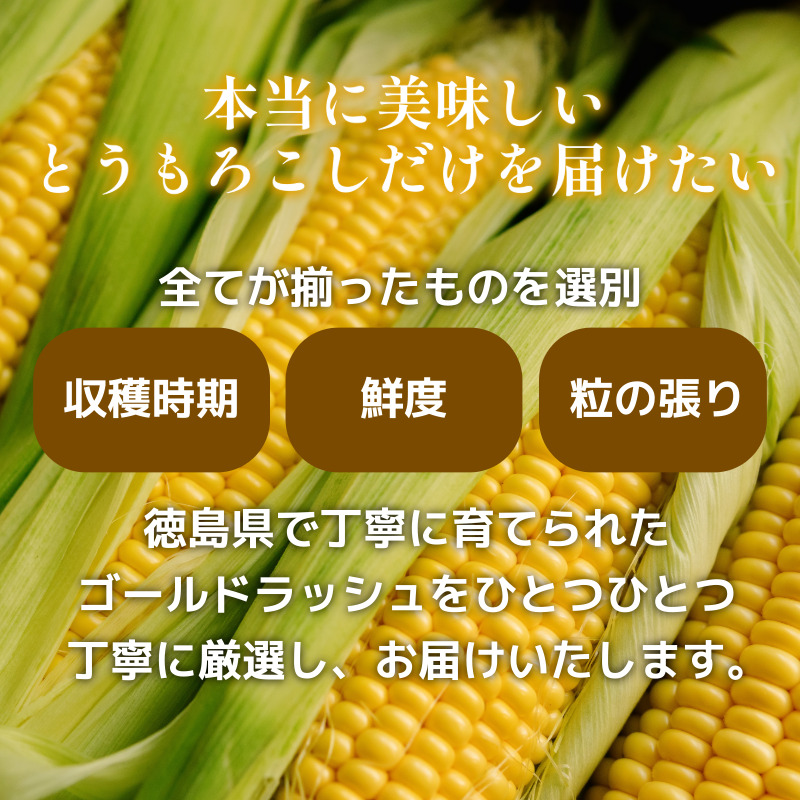 【6月下旬より順次発送】とうもろこし ゴールドラッシュ 4kg以上 選べる 容量 厳選 新鮮 甘い 生 国産 野菜 スイートコーン バーベキュー BBQ コーン 旬 徳島県