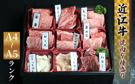 近江牛 焼肉 9種 盛り合わせ 360g 冷凍 ( 近江牛 カルビ ロース ハラミ こてっちゃん てっちゃん サーロイン 希少部位2種 赤身  黒毛 ブランド 近江牛 牛肉 三大 近江牛 近江牛 切り落し 贈り物 ギフト 近江牛 国産 近江牛 滋賀県 