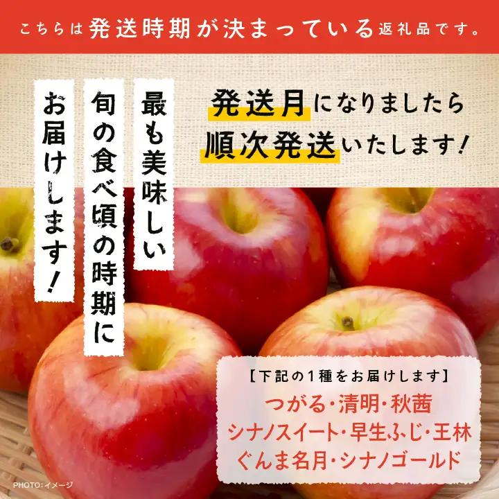 《2026年9月下旬以降順次発送》羽山りんご 品種おまかせ(早生・中早生)  3kg【羽山果樹組合】