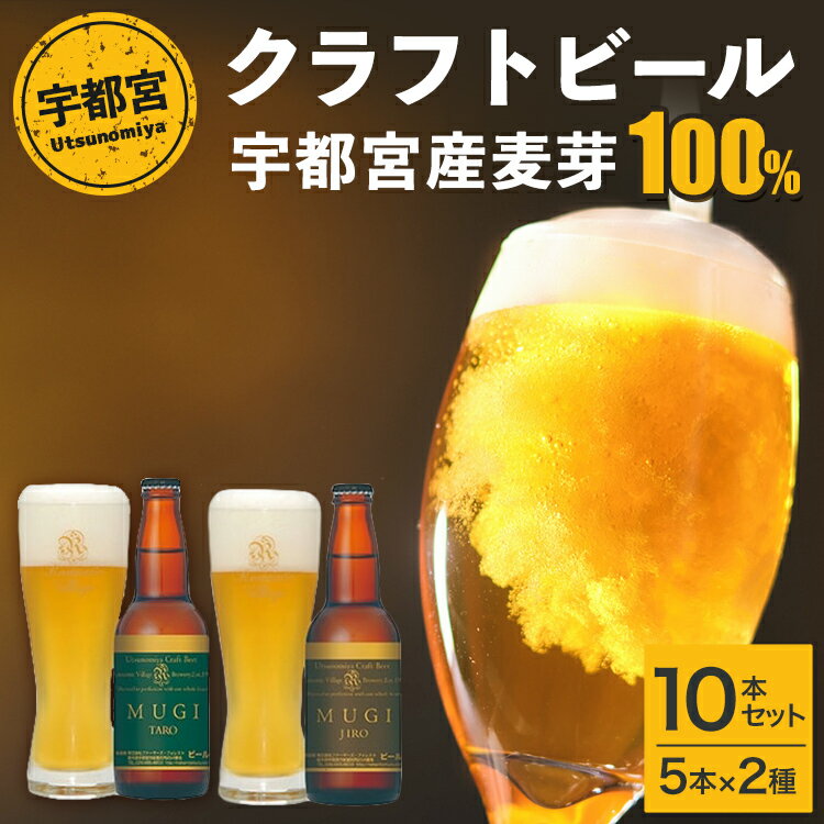 【ふるさと納税】宇都宮 クラフトビール 宇都宮産麦芽100%コンビ 10本セット(各330ml)【 ビール ギフト 飲み比べ 栃木県 宇都宮市 】※離島への配送不可