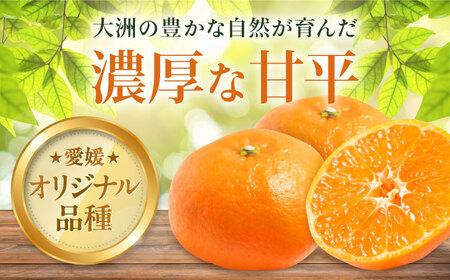 【訳あり】【先行予約】【2025年1月下旬から順次発送】甘平 2kg 愛媛県大洲市/西村農園 みかん ミカン えひめ かんぺい 柑橘[AGDC004]