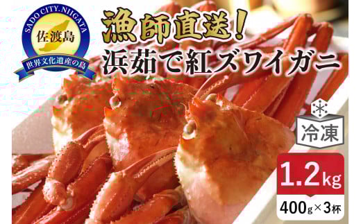 
            【ふるさと納税】『冷凍』佐渡島直送！浜茹で紅ズワイガニ（1杯400g/3杯）
          