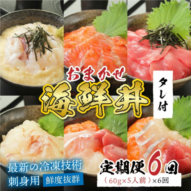 【ふるさと納税】【定期便】【6ヶ月連続お届け】 【刺身用】おまかせ海鮮丼の具 60g（タレ付）× 5人前 × 6回【最新の冷凍技術】/ 国産 グルメ 鮪 マグロ 鮭 たい 鯛 イカ 海の幸 海鮮 [G-11005]