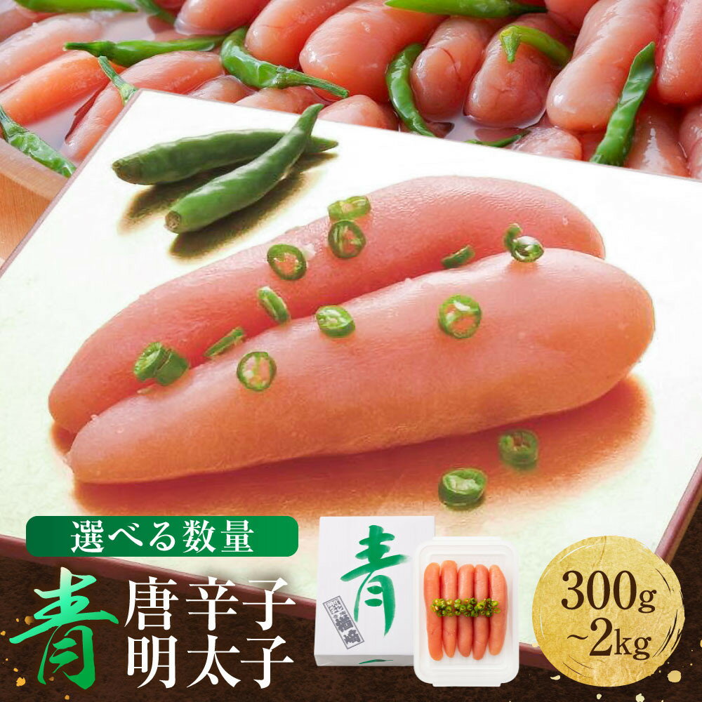 【ふるさと納税】博多 楢崎 青唐辛子明太子【 300g ～ 2kg 】 | 博多楢崎 明太子 辛子明太子 青唐辛子 明太子 明太 名産品 めんたいこ おかず 晩酌 おつまみ 贈り物 宅飲み ご飯のお供 お取り寄せ 10000円 1万円