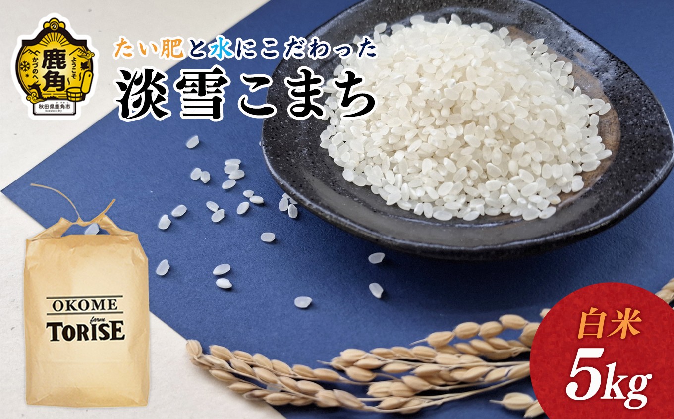 
                  《 先行予約 》令和8年産 淡雪こまち 白米 5kg 単品【トライズ】●2026年11月発送開始 米 精米 白米 単一原料米 国産米 ブランド米 白米 もっちり 県産米 お米 こめ コメ 秋田県 あきた 鹿角市 鹿角 送料無料 
                