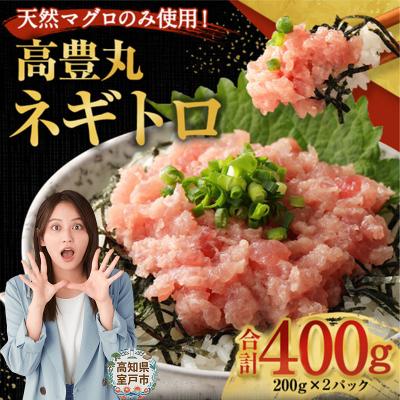 ふるさと納税 室戸市 高豊丸ネギトロ 400g 天然 マグロ 使用